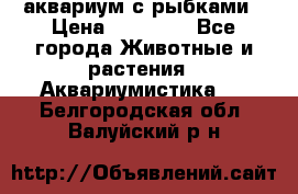 аквариум с рыбками › Цена ­ 15 000 - Все города Животные и растения » Аквариумистика   . Белгородская обл.,Валуйский р-н